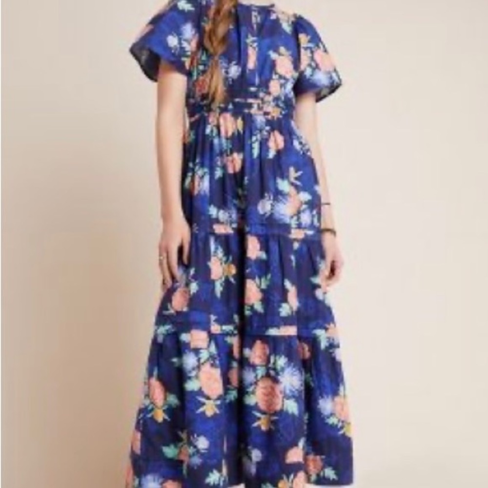 Rare Anthropologie Somerset dress